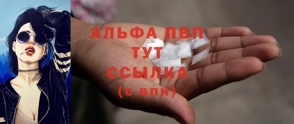 амф Липки