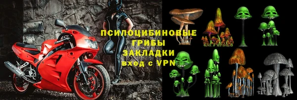 амф Липки